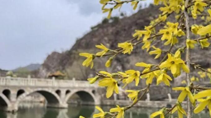 清明假期来郑州科技馆，赴一场与春天的奇妙科学之约