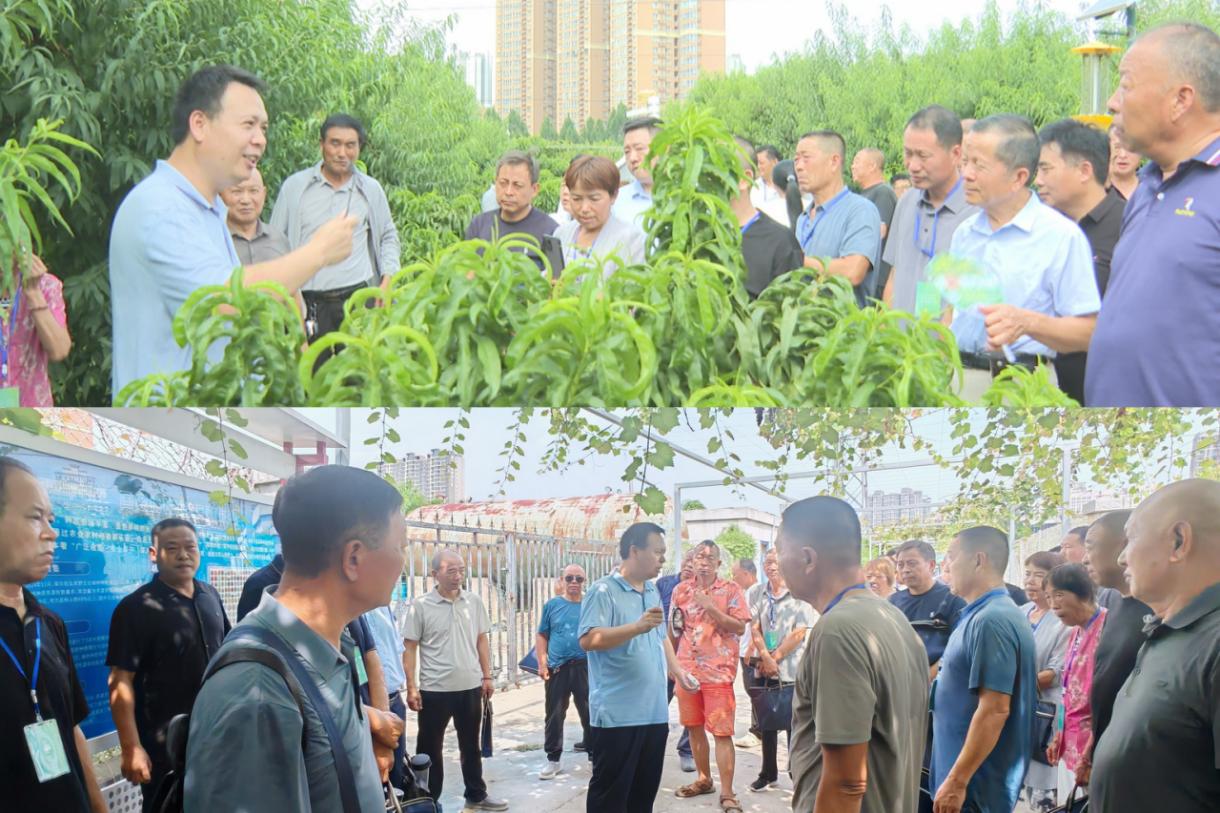 郑州市乡村振兴实用人才素能提升桃子种植专题培训班成功举办