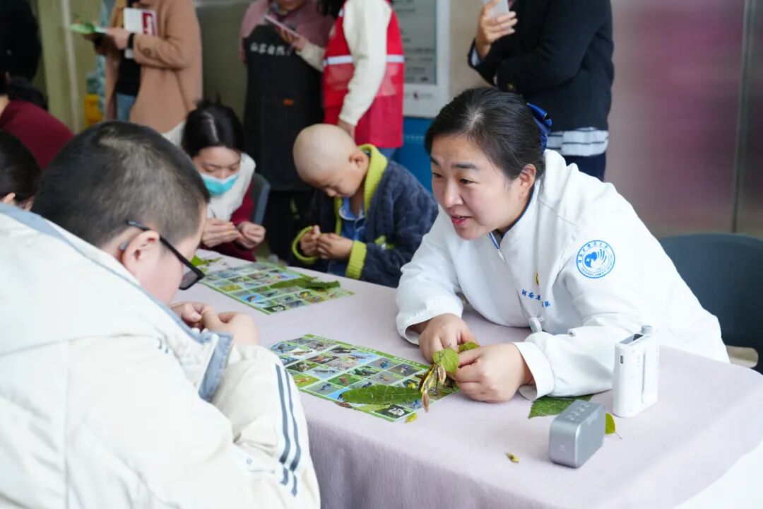从“能量魔法”到“自然密码”-金水区科协与河南省少年科学院开启秋日探索课堂