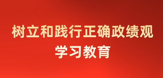 树立和践行正确政绩观学习教育